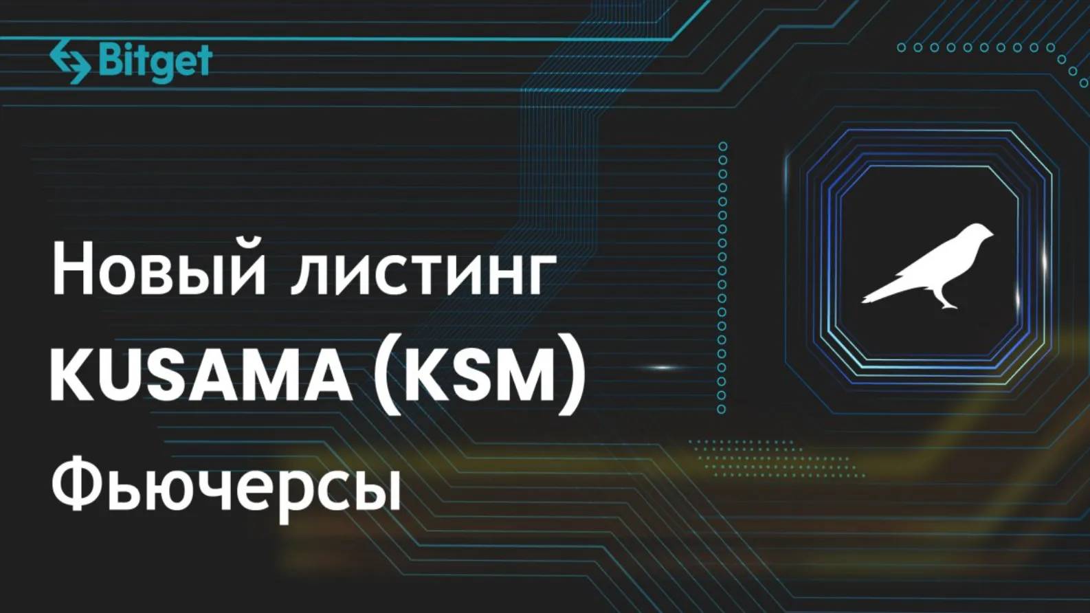 Биржа групп телеграмма фото 59