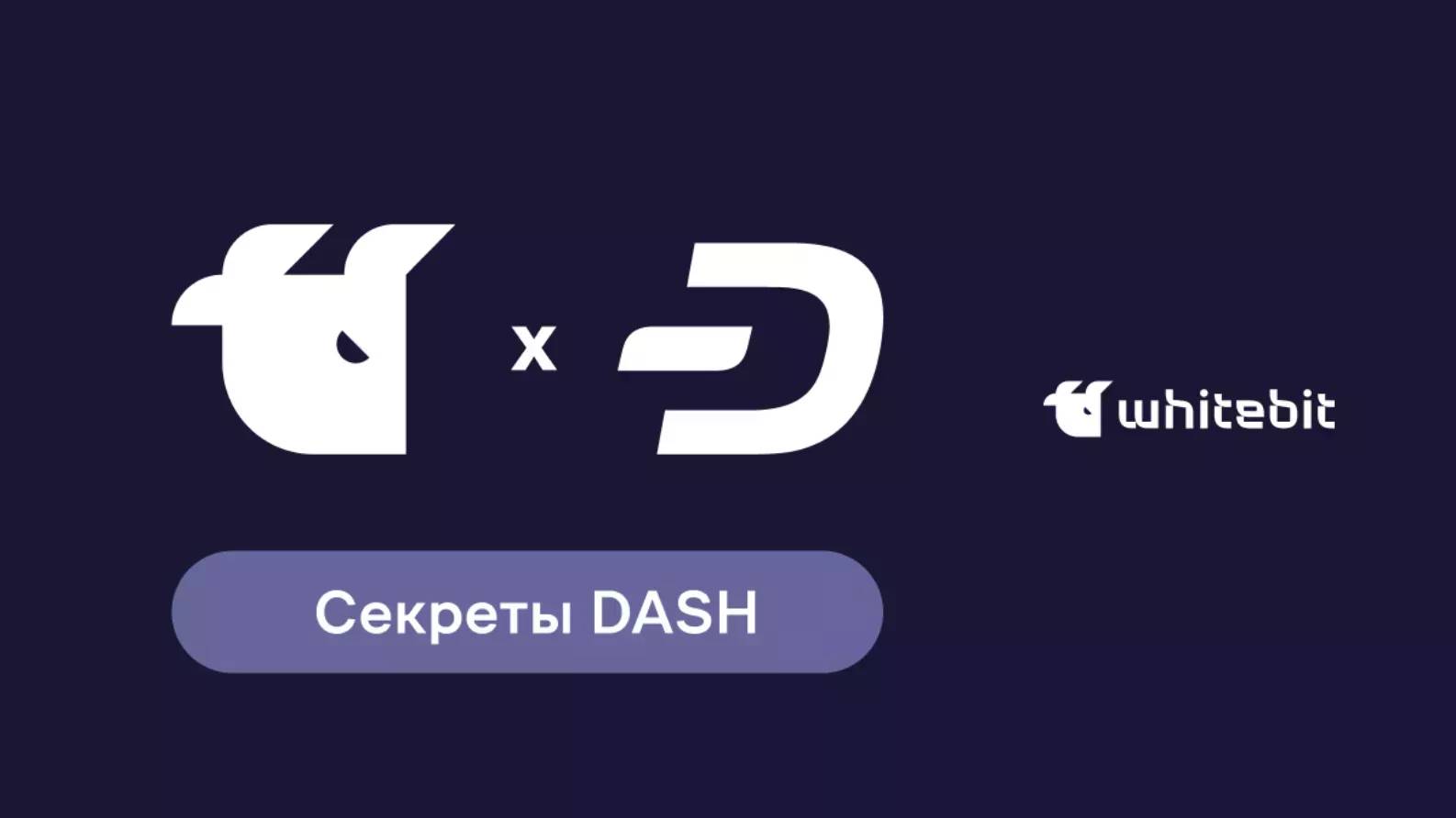 Dashing обзор