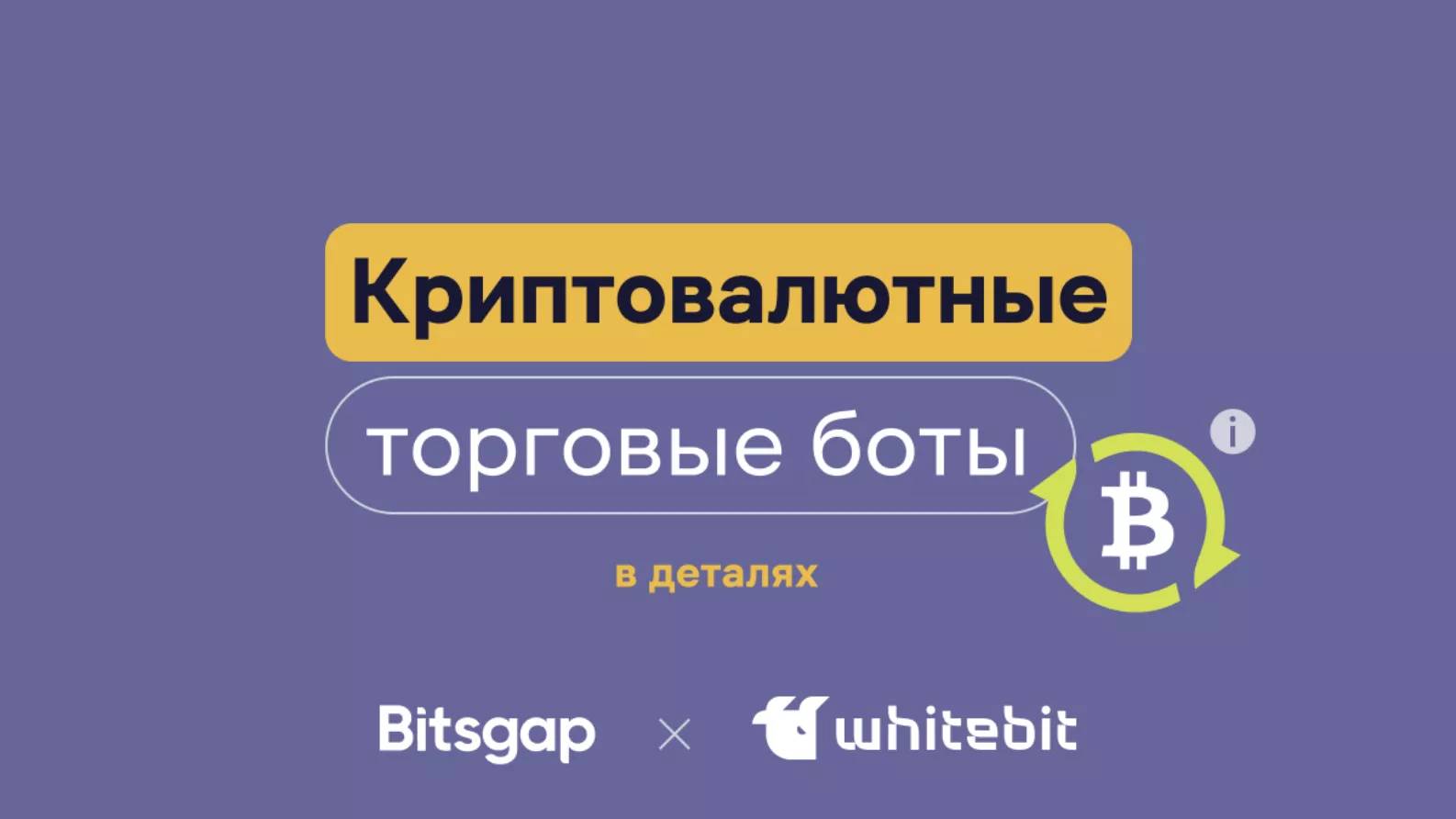 Вернуть ботов. Крипто боты. Торговый бот. Фото DCA бота. Бот для торговли.